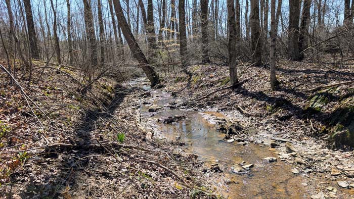 Wide open space with surrounding trees