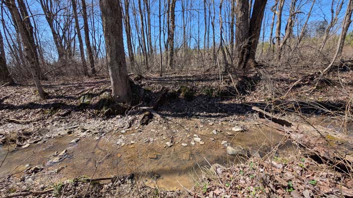 Quiet country setting near town amenities