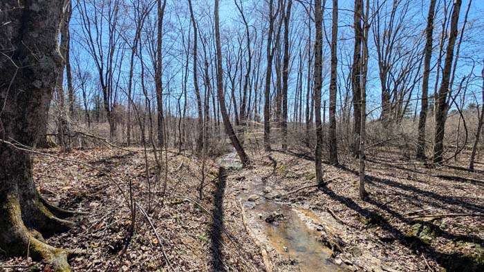 Gravel drive saving excavation costs