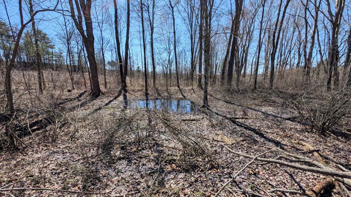 Build-ready lot with utilities nearby