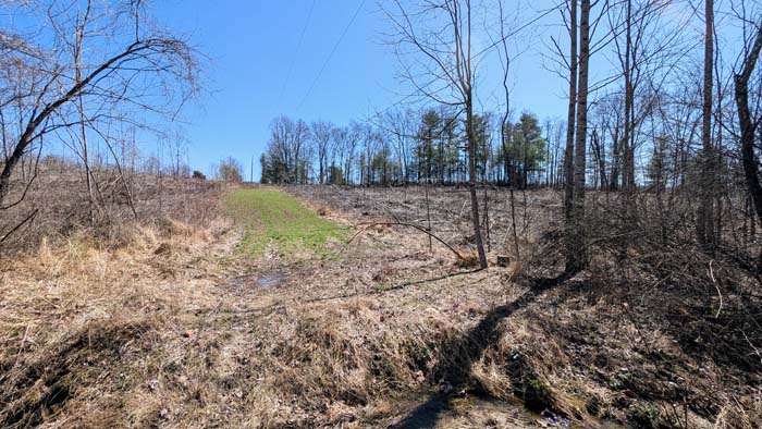 Private acreage ideal for new construction