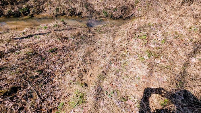 Open field surrounded by natural landscape