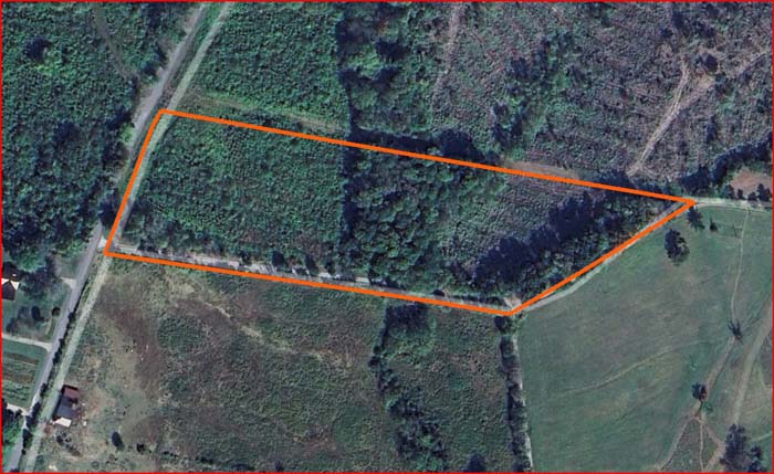 Short drive to Pike State Forest recreation