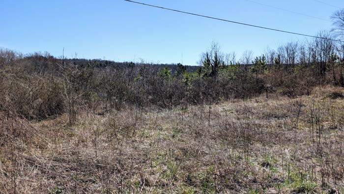 Scenic countryside near Chillicothe Ohio