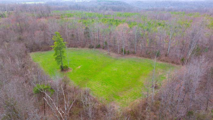 Large wooded hunting tract with pine habitat in southern Ohio