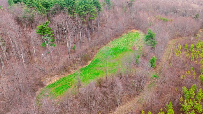 Seasonal creek running through wooded property