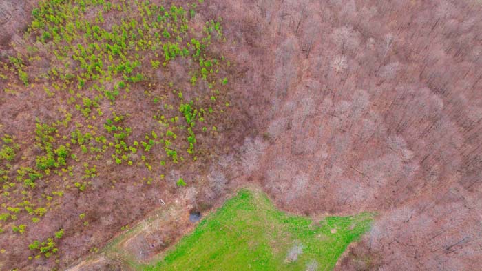Wooded acreage with trail access for ATVs and hunting