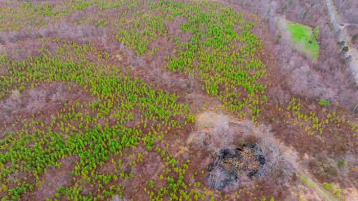 Wooded hillside offering privacy and seclusion