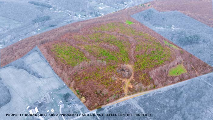 Scenic wooded acreage with rolling terrain
