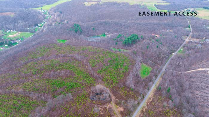 Wildlife trail crossing through forested property