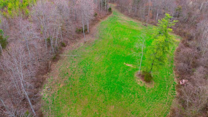 Natural drainage area with seasonal water flow