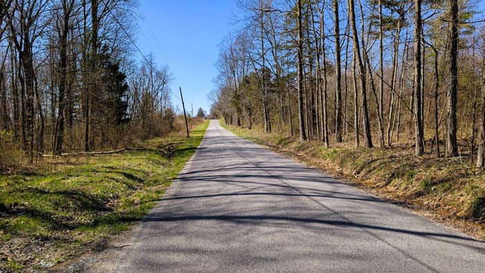 Wooded acreage with established ATV access trails