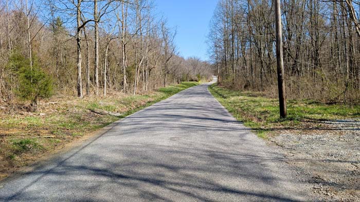 Open woodland with scattered mature trees
