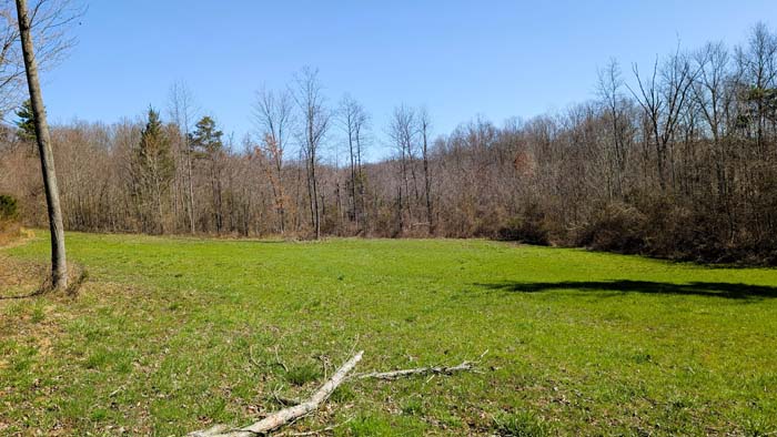 Trail intersection within wooded hunting property