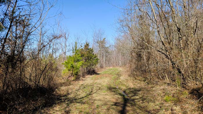 Natural clearing suitable for building or camping