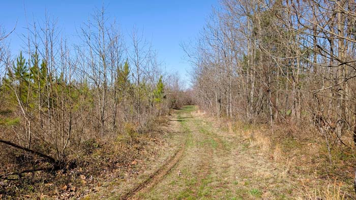 Wooded acreage with mixed terrain and elevation changes