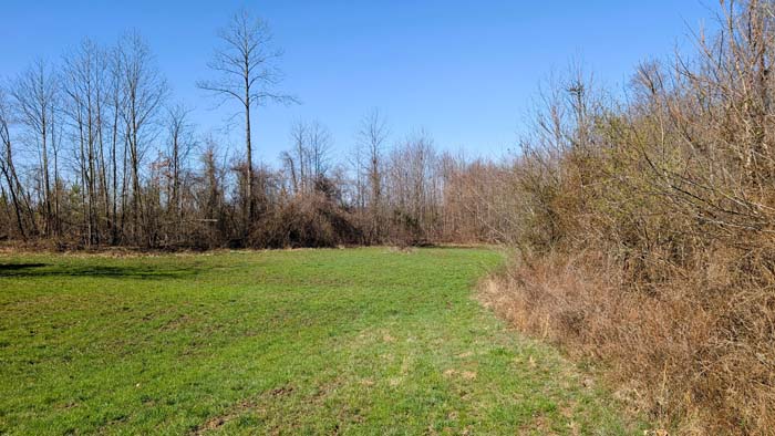 Secluded acreage with natural wildlife features