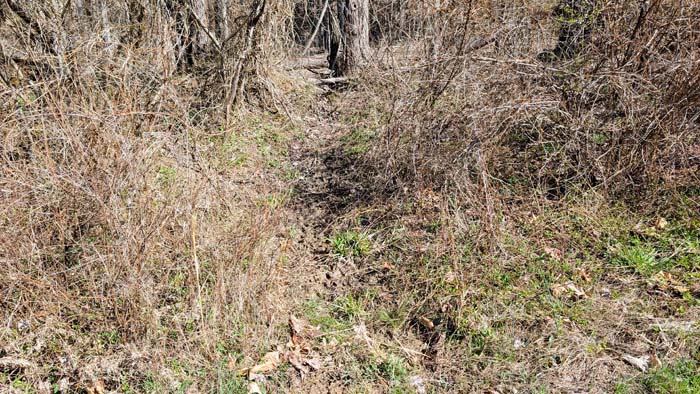 Wooded hillside overlooking lower terrain