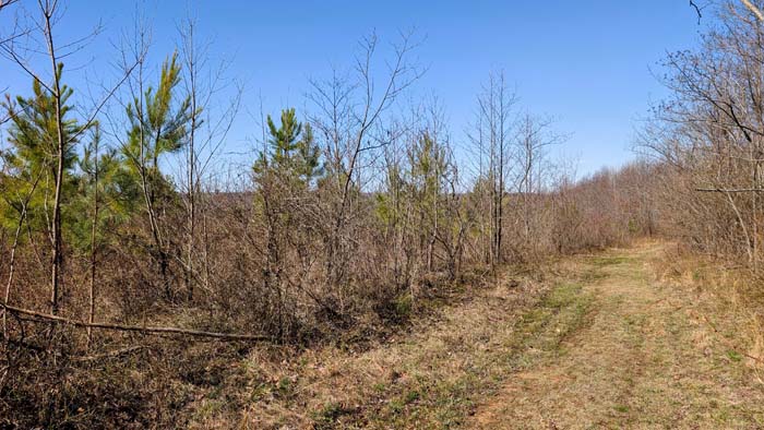 Quiet wooded area with seasonal foliage changes