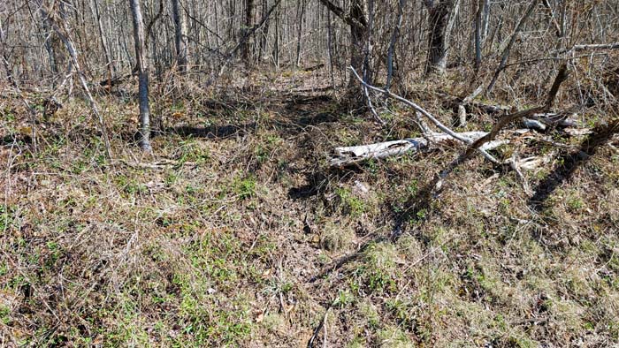 Rolling terrain with natural drainage features