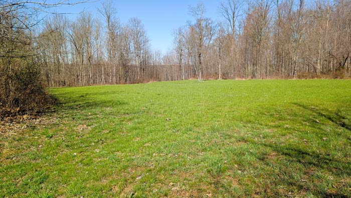 Wooded acreage with maintained access path
