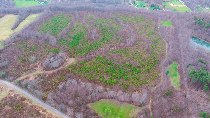 Secluded wooded acreage ideal for hunting and recreation