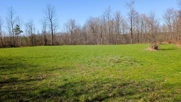 Scenic timberland with mixed elevation and terrain