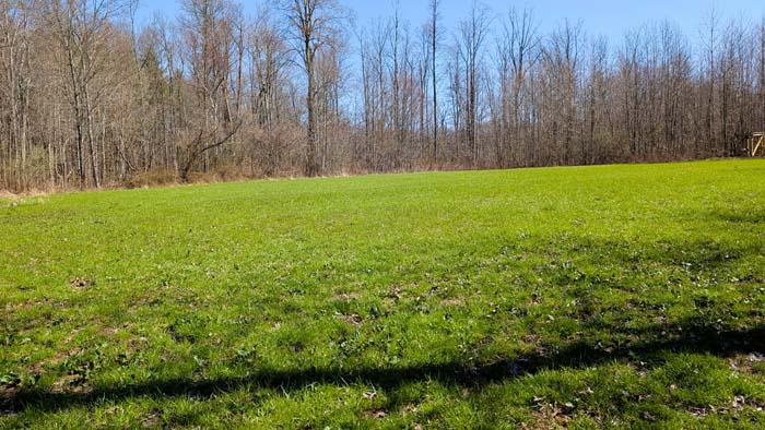 Timbered acreage ideal for hunting and recreation