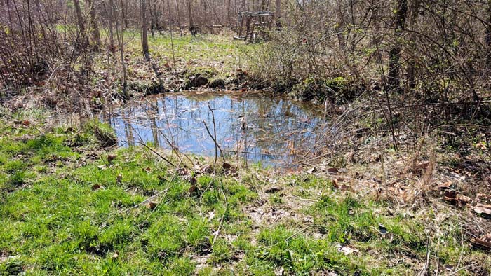 Wooded terrain with gentle slopes and elevation changes