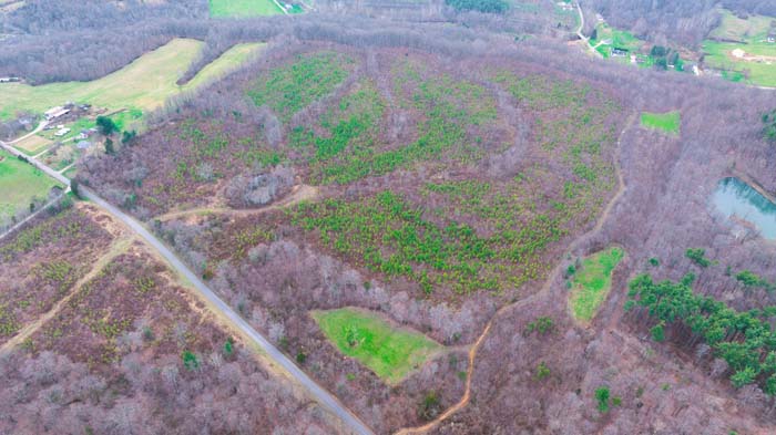 Trail access through wooded hunting property