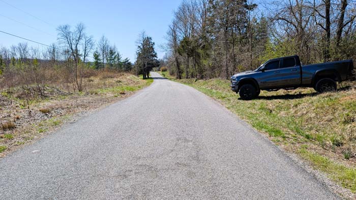 Forest setting with natural ground cover and trails