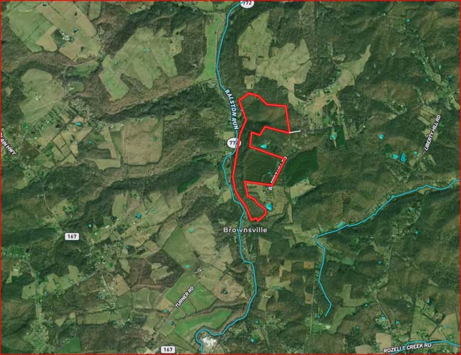 Wooded acreage with dense cover and privacy