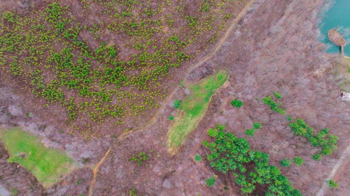 Private wooded setting with natural wildlife habitat