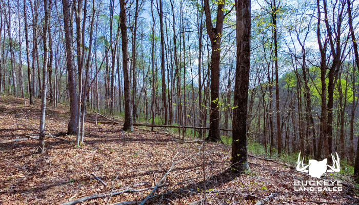 32.33+/- Acres, Londonderry Ohio 45647