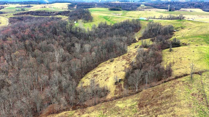 Wooded acreage with mixed age timber and wildlife cover
