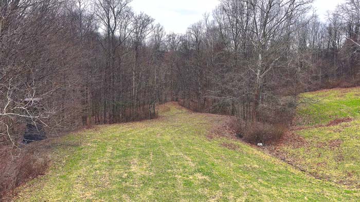 Wooded hills with elevation change supporting wildlife movement