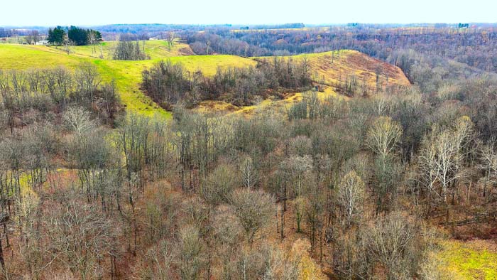 Recreational land with drainage corridors and deer habitat