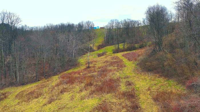 Timbered property with strong bedding and travel areas