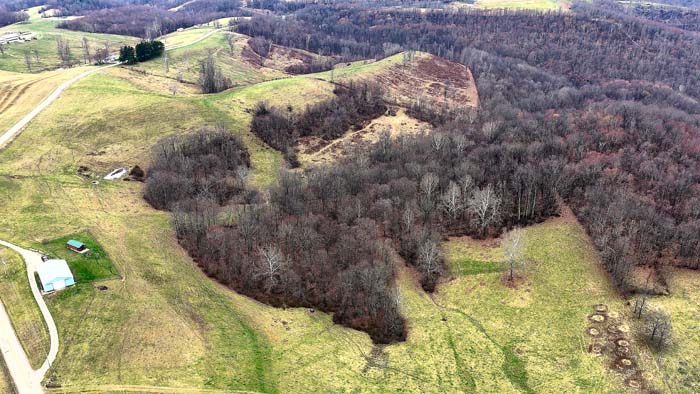 Wooded land with elevation and drainage for wildlife travel
