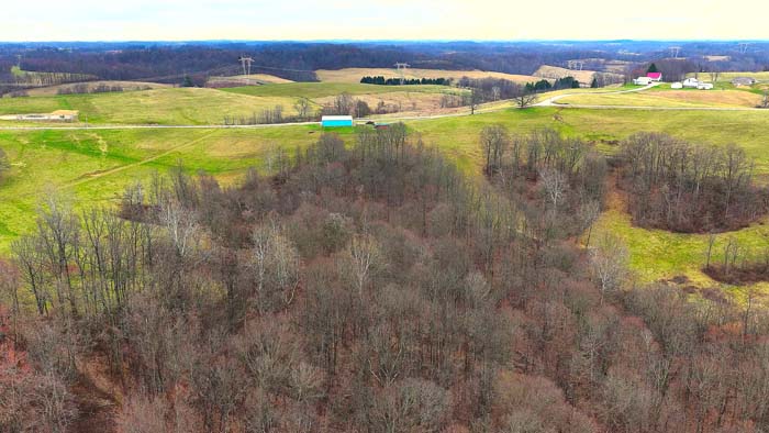 Recreational property with thick timber and natural terrain