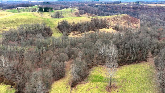 Wooded acreage ideal for hunters wanting ready to use land