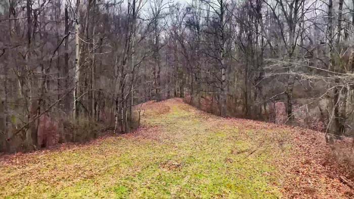 Timberland with harvest potential and investment opportunity