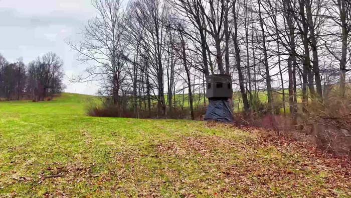 Recreational property with timber and income potential