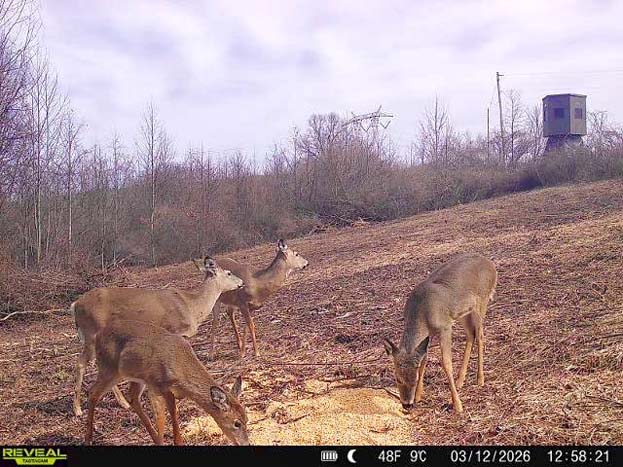 Ohio hunting tract with mixed timber and wildlife habitat