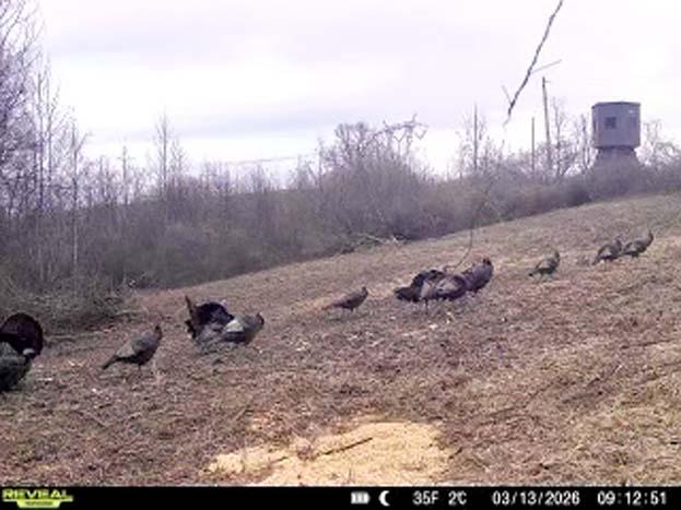 Turnkey hunting acreage with stand locations and habitat