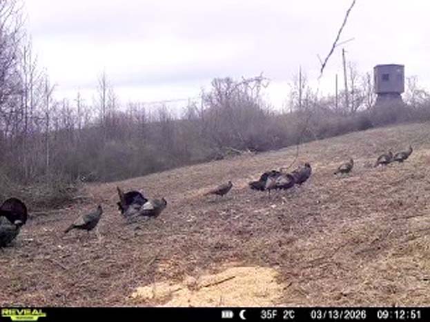 Ohio land with cabin, timber, and strong deer movement areas