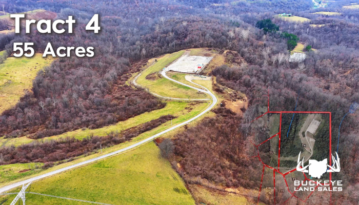 54.63 +/- Acres, Barnesville, Ohio