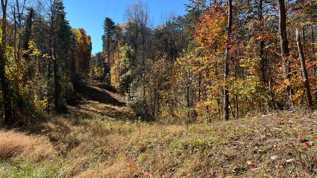 Land For Sale Brill Road, Stewart, Ohio Buckeye Land Sales Ohio