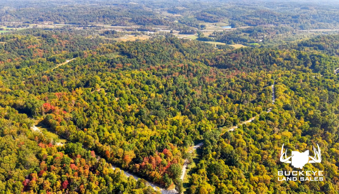127+/- Acre, Dexter City, OH 45727