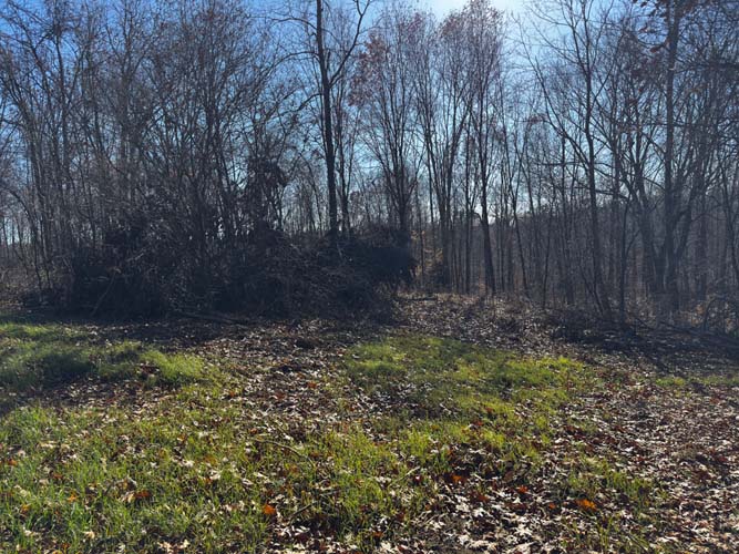deep timber and rolling Appalachian foothills